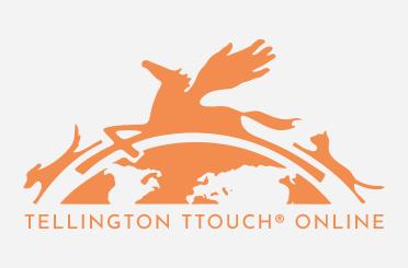 tellingtonttouchonline-logo